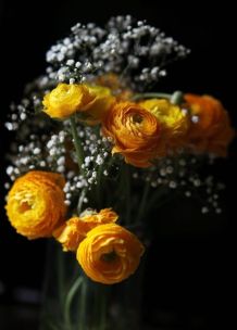 Schnittblumen / Blumenstrauß retten