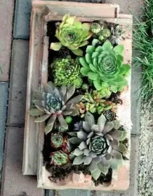 Alte Dachziegel als Gartendeko nutzen