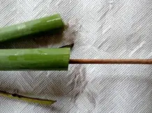 Wunderschöne Amaryllis in der Vase