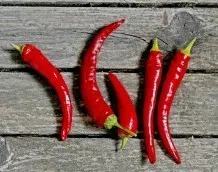 Zubereitung von Chili