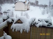 Vogel-Futterplatz auf dem Balkon