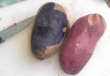 Kunterbunter Kartoffelsalat