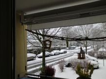 Balkonsaison für Vögel ist eröffnet