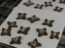 Duftsterne für die Adventszeit