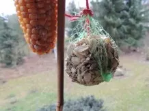 Futternetze für Vögel wiederverwenden