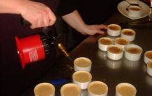 Creme Brulee