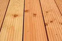 Grünbelag auf Holzterrasse entfernen