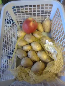 Kartoffeln keimen nicht so schnell und halten länger