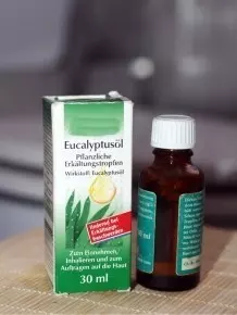 Eukalyptusöl gegen Gerüche auf der Toilette