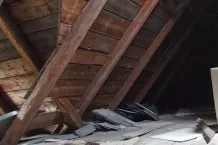 Marder vom Dachboden vergrämen