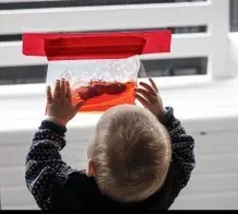 Bunte Wassertüte - das Baby Aquarium