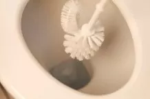 Kalk und Urinstein aus WC entfernen