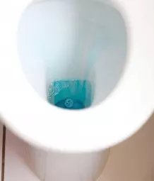 WC-Reinigungs-Tipp