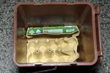 Eierkartons aus Pappe für den Biomüll
