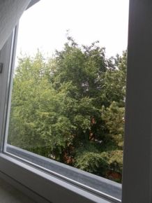 Fenster blitze blank ... aber wie?