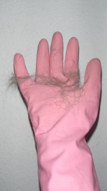 Tierhaare mit Gummihandschuhen entfernen