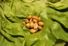 Grüner Salat mit Erdnüssen