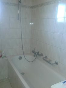 Waschbecken und Badewanne mit Waschpulver reinigen