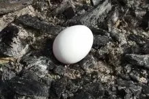 In Asche gebackene Eier - ein Schmankerl für den Grillnachmittag