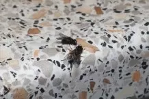 Fliegenfalle für Fruchtfliegen, Wespen und Fliegen