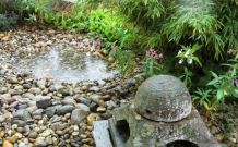 Hundepool für den Garten