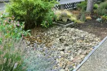 Hundepool für den Garten