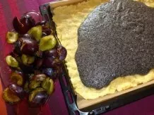 Pflaumen-Mohn-Kuchen auf dem Blech gebacken
