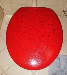 Klobrille / WC Sitz / Aus ALT mach NEU