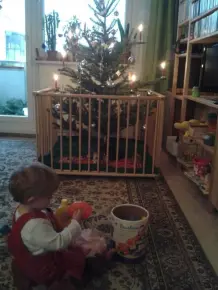 Weihnachtsbaum und Krabbelkind im Haushalt