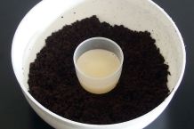 Peelingshampoo mit Kaffeesatz