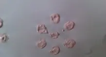 Dekoschablone aus PET Flaschenboden