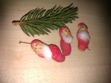 Winzige Erdnuss-Nikoläuse