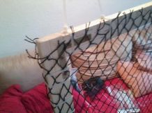 Fenster sichern ohne Schrauben und Bohren