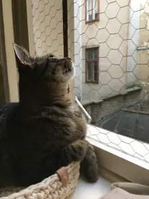 Fenster sichern ohne Schrauben und Bohren