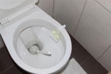 WC Bürsten reinigen
