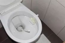 WC Bürsten reinigen