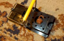 Ratten mit Erdnussbutter fangen