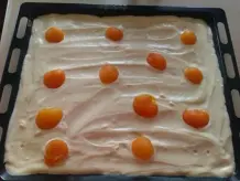 Aprikosen-Vanille-Blechkuchen