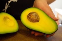 Avocado: Pflanze aus Avocadokern züchten