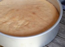 Biskuitkuchen