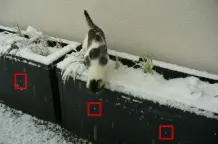 Auflagenbox für Gartenpolster als Pflanzcontainer nutzen