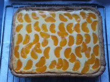 Käse-Mandarinen-Kuchen vom Blech