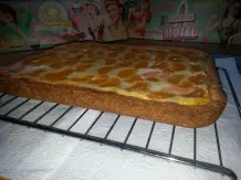 Käse-Mandarinen-Kuchen vom Blech