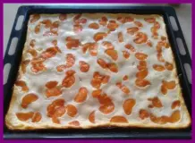 Käse-Mandarinen-Kuchen vom Blech