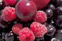 Wasserlösliche Vitamine - Funktionen und Eigenschaften