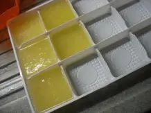 Zitronensaft einfrieren