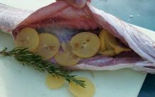 Fisch mit eingelegten Zitronen gefüllt