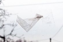 Tesafilm von Glasscheiben entfernen