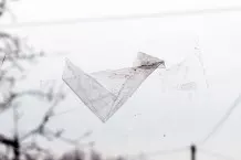 Tesafilm von Glasscheiben entfernen