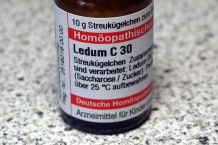 Mücken- und Wespenstiche homöopathisch behandeln